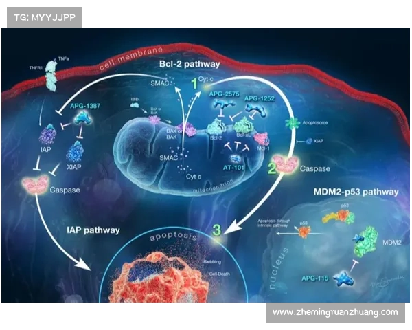 探索位面精华的五大应用场景及其在未来科技中的潜力分析