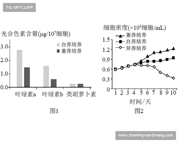 冰虫鳞片的结构特征与功能机制研究探索