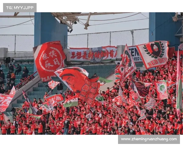 建业足球俱乐部的组织性质与运营功能全面解析