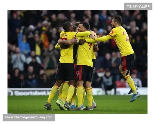 加的夫城所处联赛级别的现状与发展趋势深度分析探讨全面解读研究