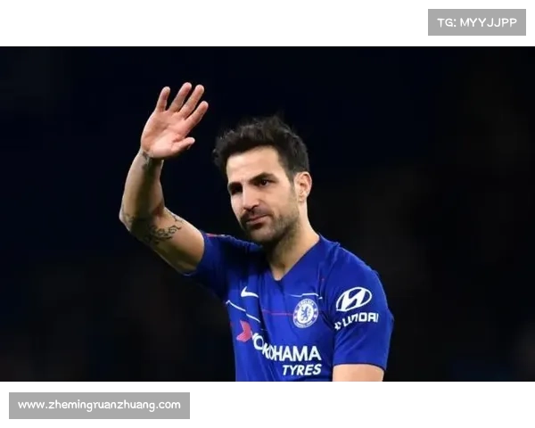 法甲冠军背后的传奇故事和鲜为人知的历史时刻